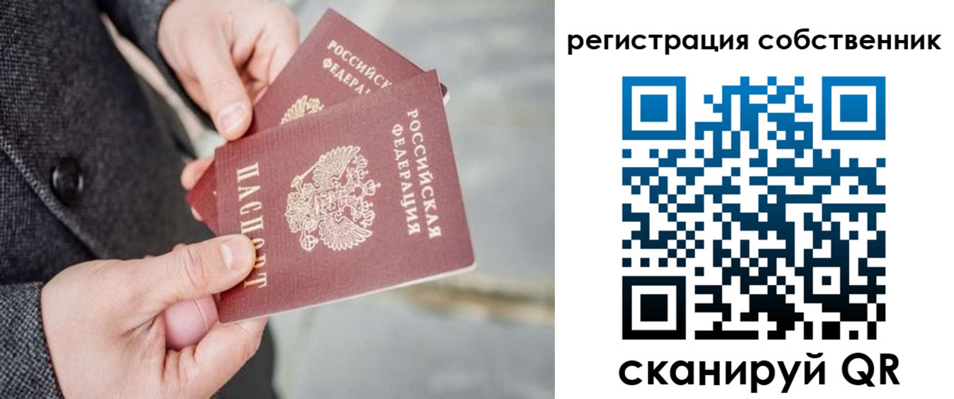 временная регистрация гарантия в Курской области
